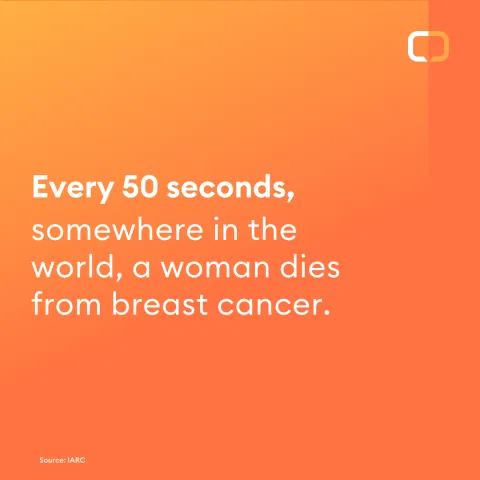 Risk Factors
